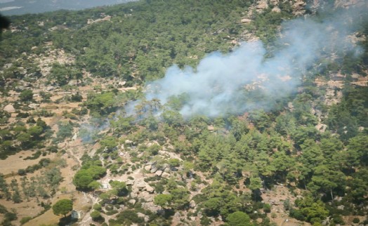 Muğla'da orman yangını kontrol altına alındı