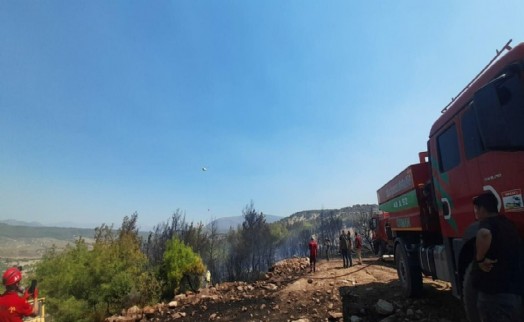 Muğla'daki orman yangını kısmen kontrol altında; 200 hektar alan zarar gördü