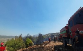 Muğla'daki orman yangını kısmen kontrol altında; 200 hektar alan zarar gördü