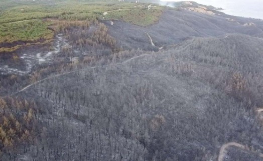 Orman yangınları ile ilgili 'halk sağlığı' uyarısı