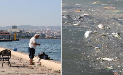 Uzman uyardı: Vatandaşlar Kordon'da ölü balık kokusunda avlandı