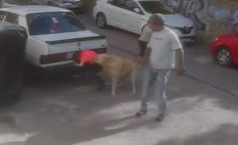 Sevdiği sokak köpeğinin saldırısına uğrayan 6 yaşındaki Baran yaralandı