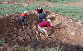 'V şekilli mikro havza' yöntemi ile çorak arazide 3 kat daha fazla verim