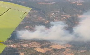 Bergama’daki orman yangını 8 saat sonra kontrol altına alındı