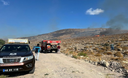 Bodrum'da ot yangını, 2 saatte söndürüldü