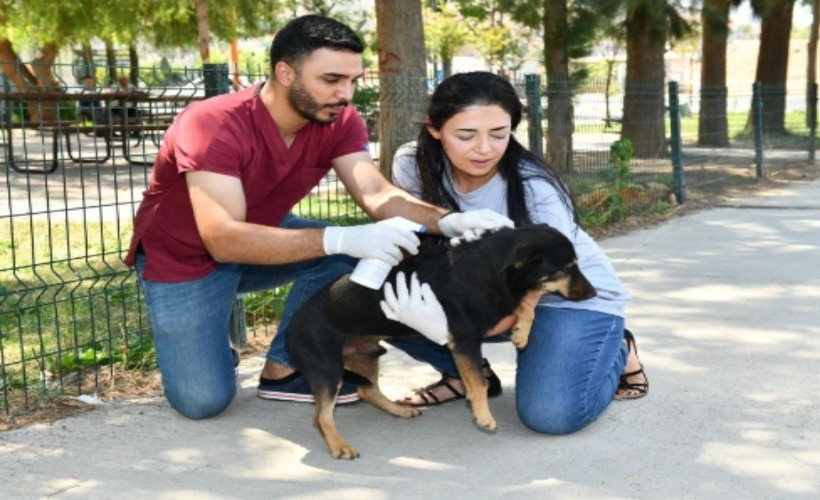 Çiğli Belediyesi'nin Sahiplendirme Platformu hizmete girdi: Can dostlar yuvasız kalmayacak