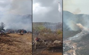 İki ilçede çıkan yangınlara İzmir İtfaiyesi’nden hızlı müdahale