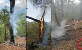 Muğla'da 5 günde 50 yıldırım yangını; 5 hektar alan yandı