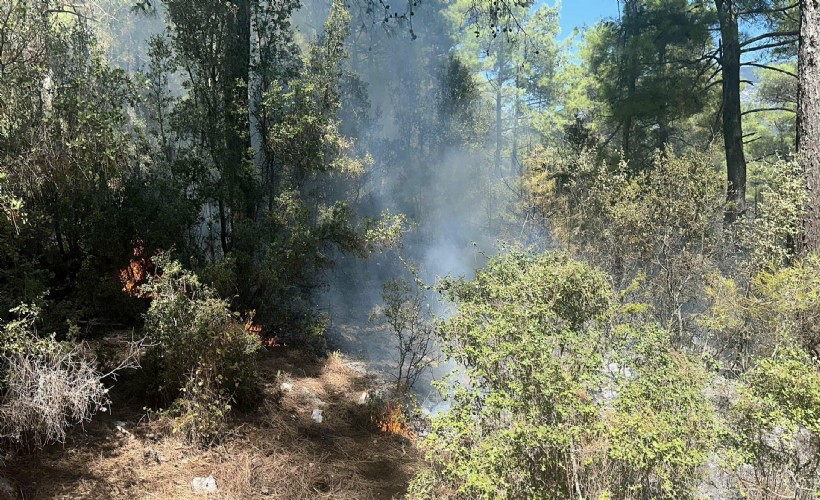 Muğla'da düşen yıldırımdan çıkan yangın söndürüldü