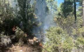 Muğla'da düşen yıldırımdan çıkan yangın söndürüldü