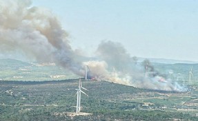 Urla'da orman yangını: Havadan ve karadan müdahale ediliyor