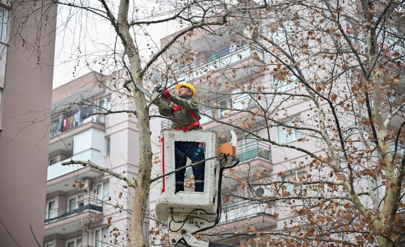 Bornova’da kışa hazırlık başladı