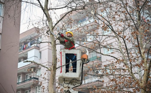 Bornova’da kışa hazırlık başladı