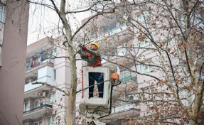 Bornova’da kışa hazırlık başladı