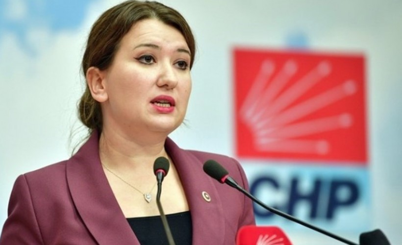 CHP'li Gökçe Gökçen: 'Bakanlık hariç herkes cezalandırılabilir, hatta yangını söndürenler bile'