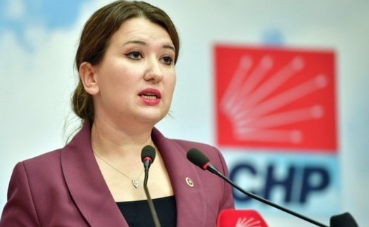 CHP'li Gökçe Gökçen: 'Bakanlık hariç herkes cezalandırılabilir, hatta yangını söndürenler bile'