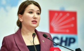 CHP'li Gökçe Gökçen: 'Bakanlık hariç herkes cezalandırılabilir, hatta yangını söndürenler bile'