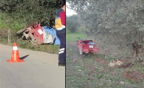 İzmir'de 3 tekerlekli motosiklet zeytin ağacına çarptı; 2 kardeş öldü