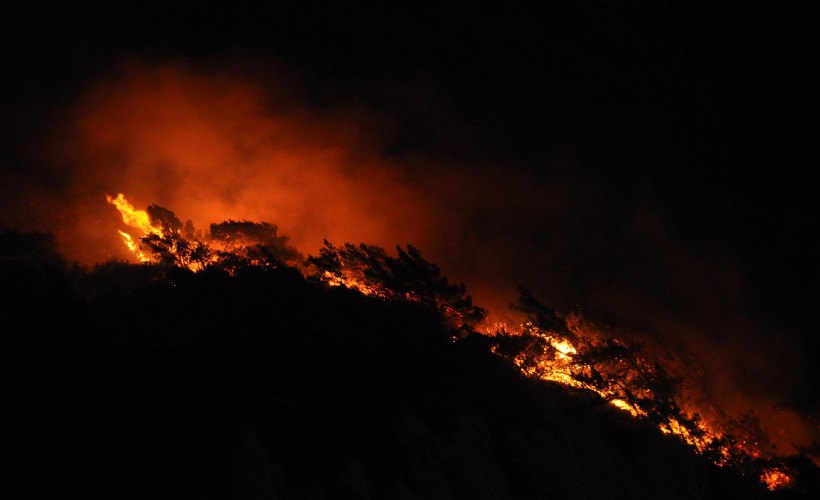 Muğla'da 15 yıl hapisle aranan hükümlü yakalandı