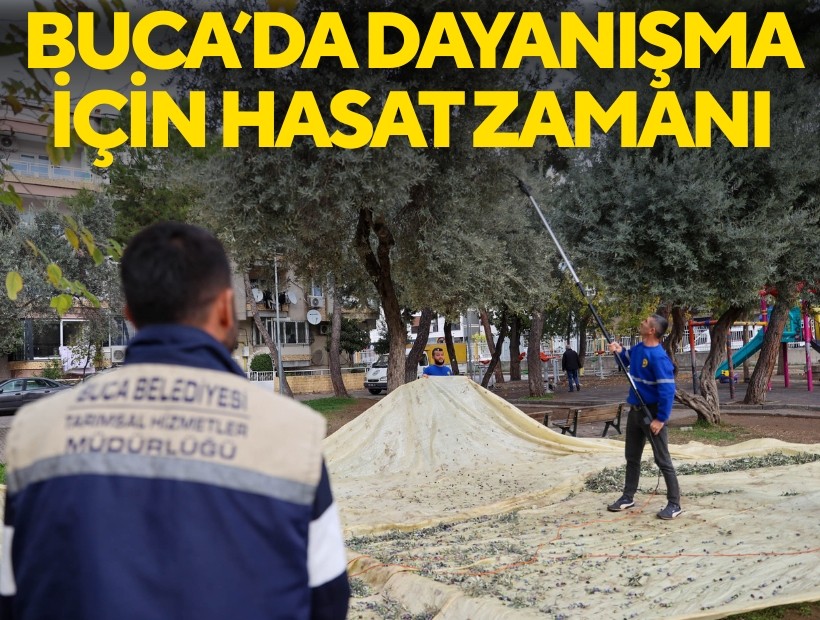 Buca’da dayanışma için hasat zamanı