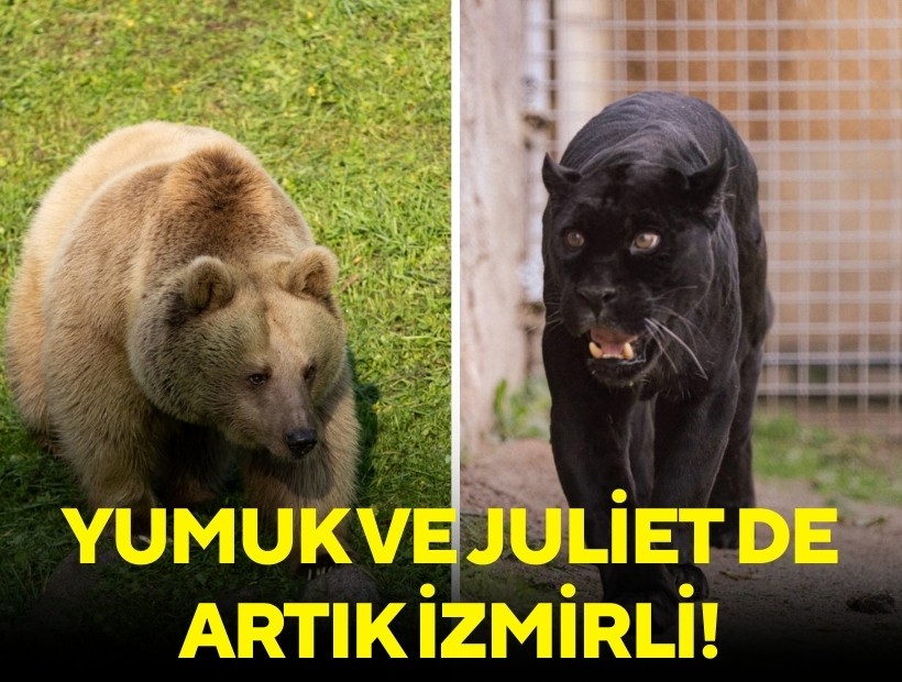 Yumuk ve Jüliet de artık İzmirli!