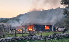 Bodrum'da odun sobasından çıkan yangın evi kül etti; 1 yaralı