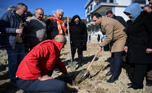 Bornova’da Misket Üzümü yeniden doğuyor