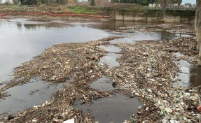 Büyük Menderes Nehri kirlilik nedeniyle siyaha büründü