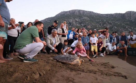 Caretta caretta 'Lansinoh'un rotasını 18 bin kişi görüntüledi