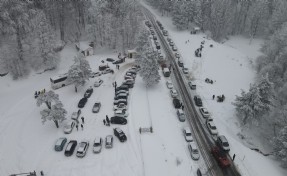 Domaniç’te Topuk Yaylası Tabiat Parkı, piknikçilerle doldu