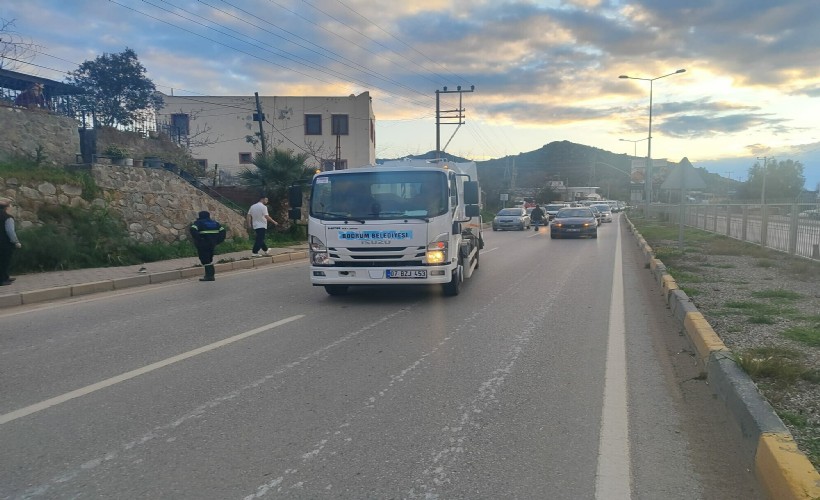 Köpekten kaçarken çöp kamyonu çarptı