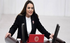 Öcalan'ın Bahçeli övgüsüne Türkeş'ten tepki: 'AKP- MHP-DEM ittifakı hayırlı olsun'