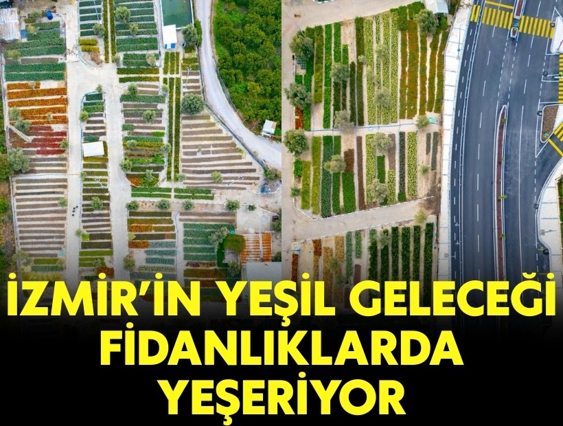 İzmir’in yeşil geleceği fidanlıklarda yeşeriyor