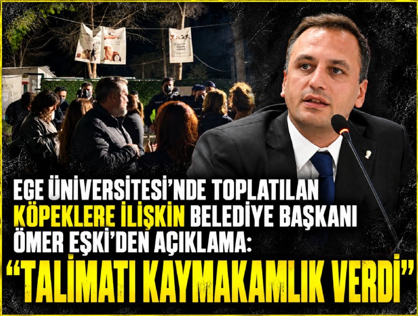 Ege Üniversitesi'nde toplatılan köpeklere ilişkin Belediye Başkanı Ömer Eşki'den açıklama: 'Talimatı Kaymakamlık verdi'