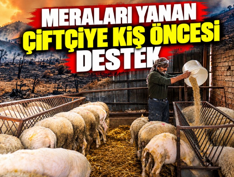 Meraları yanan çiftçiye kış öncesi destek