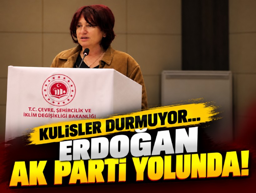 YENİ Parti'den istifa eden İlkay Erdoğan AK Parti yolunda!