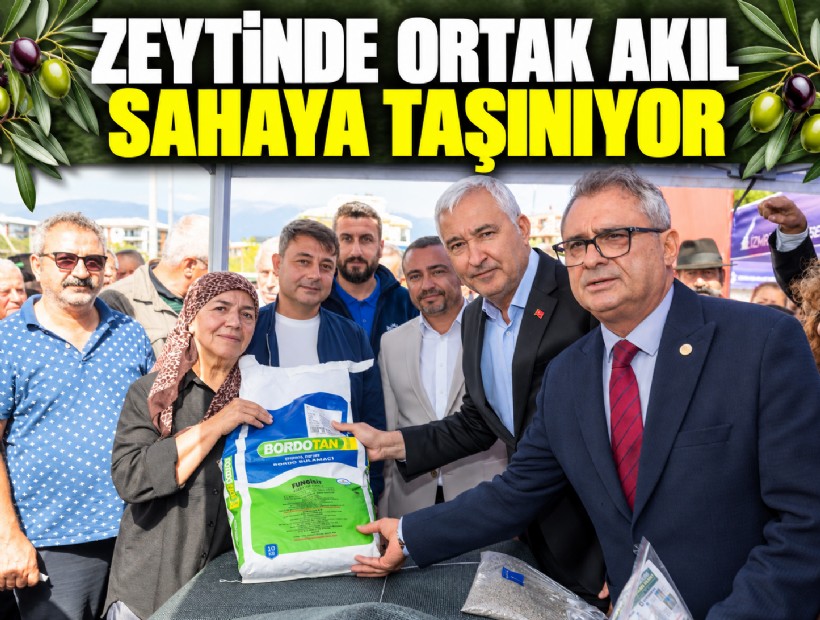 Zeytinde ortak akıl sahaya taşınıyor