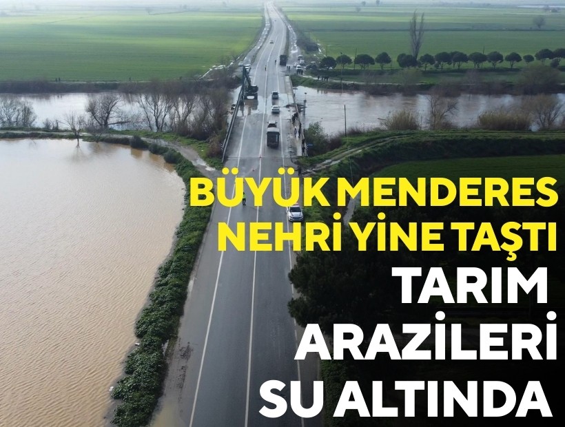 Büyük Menderes Nehri yine taştı, tarım arazileri su altında kaldı