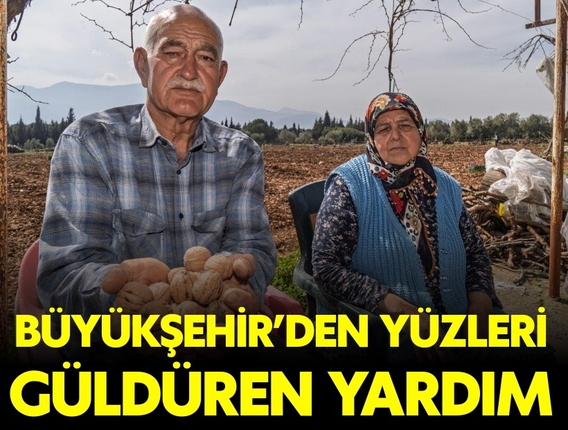 Büyükşehir'den yüzleri güldüren yardım: Ceviz ağaçları katledilmişti!