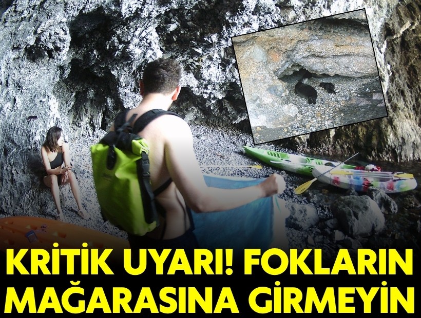 Fokların yaşadığı mağaraya girmeyin!