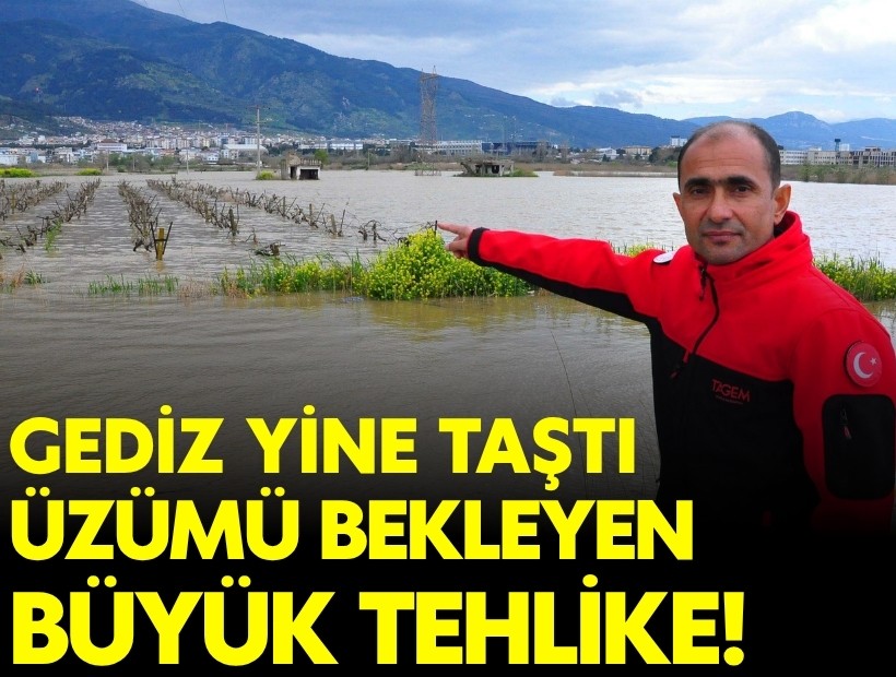 Gediz Nehri ikinci kez taştı üzümde tehlike büyük!