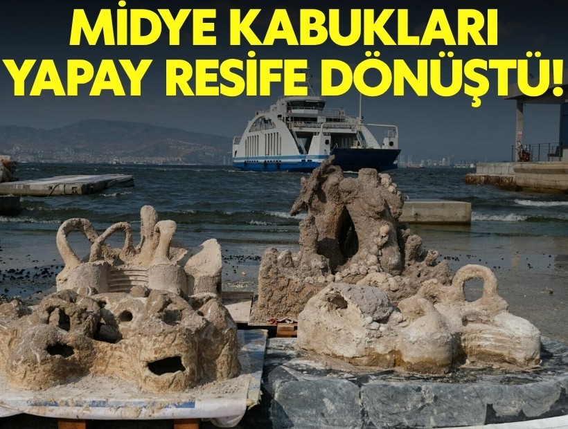 İzmir’de atık midye kabukları yapay resiflere dönüşecek