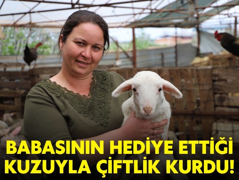 Babasının hediye ettiği kuzuyla çiftlik kurdu