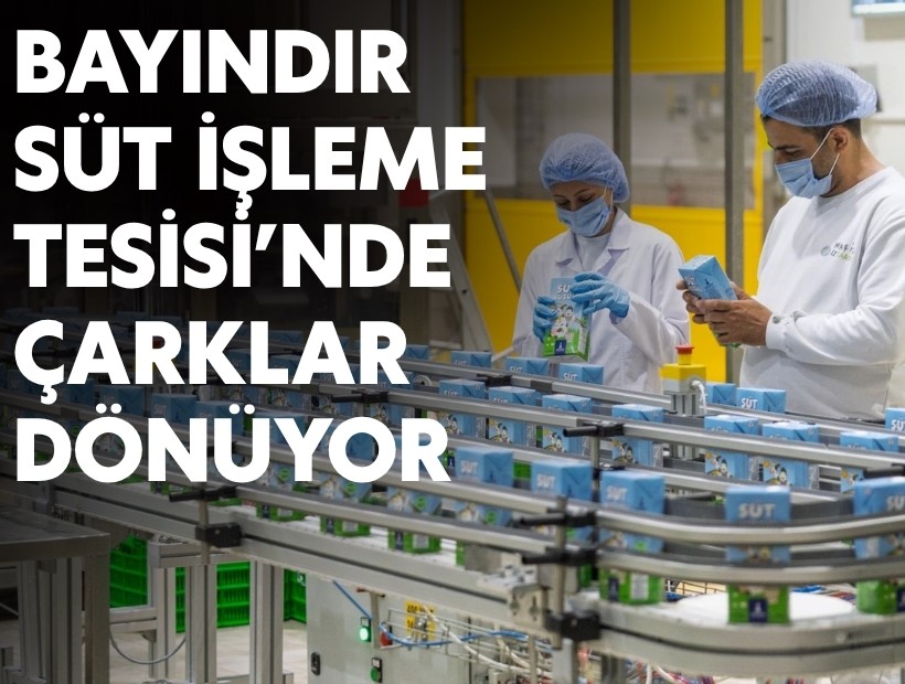 Bayındır Süt İşleme Tesisi’nde çarklar dönüyor