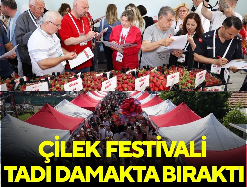 Çilek tadında festival, milyonu aşkın misafir ağırladı