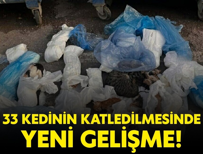 İzmir'de 33 kedinin katledilmesinde yeni gelişme!