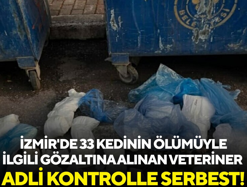 İzmir'de 33 kedinin ölümüyle ilgili gözaltına alınan veteriner adli kontrolle serbest!
