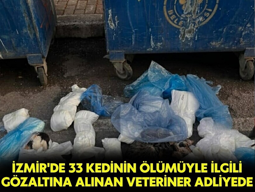 İzmir'de 33 kedinin ölümüyle ilgili gözaltına alınan veteriner adliyede