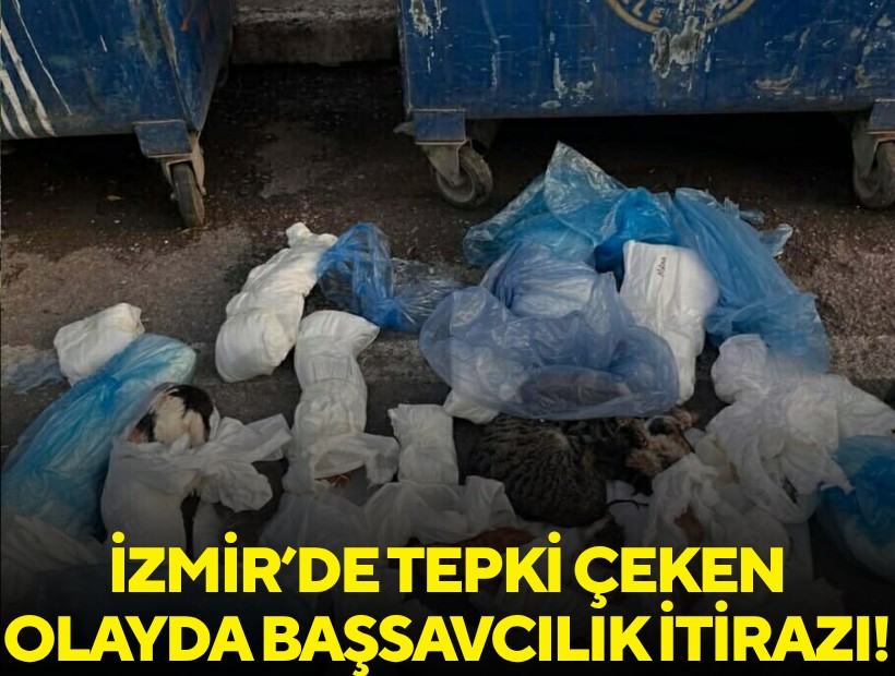 İzmir’de tepki çeken olayda veteriner yeniden gözaltına alındı