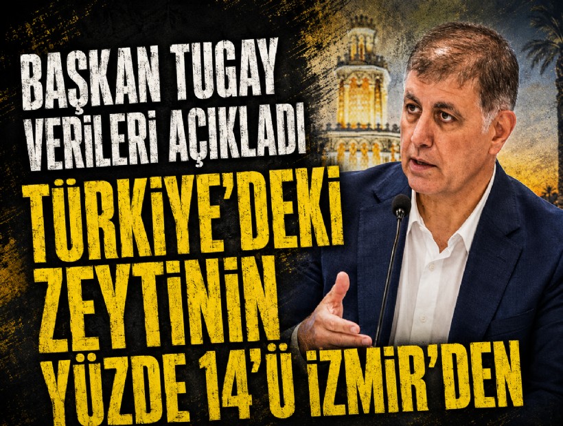 Başkan Tugay verileri açıkladı: Türkiye'deki zeytinin yüzde 14'ü İzmir'den!